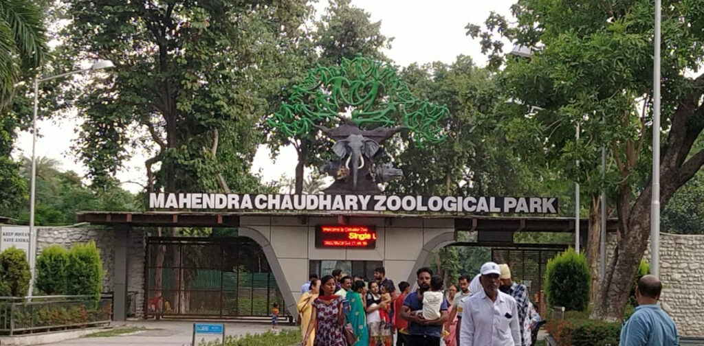 Chhat Bir Zoo Zirakpur