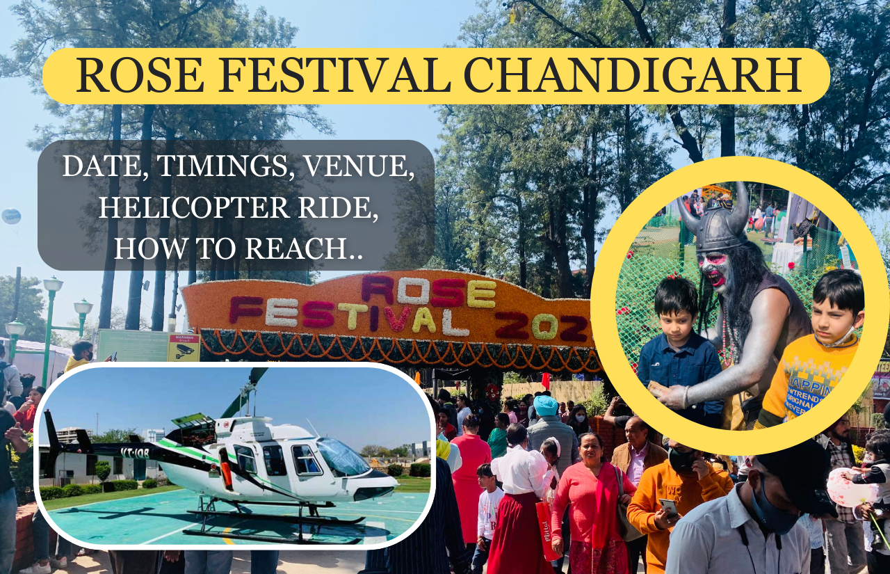 Rose Festival Chandigarh 2024 Date, Timings, Venue, Activities