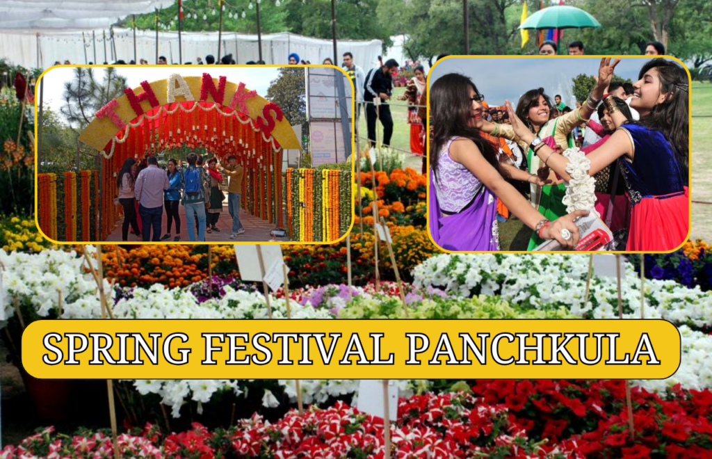 Spring Festival Panchkula 2024 Archives