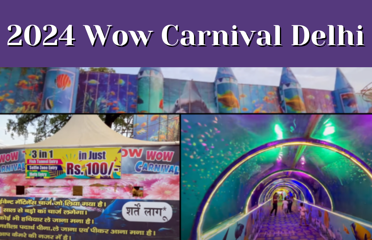 2024 Wow Carnival Delhi