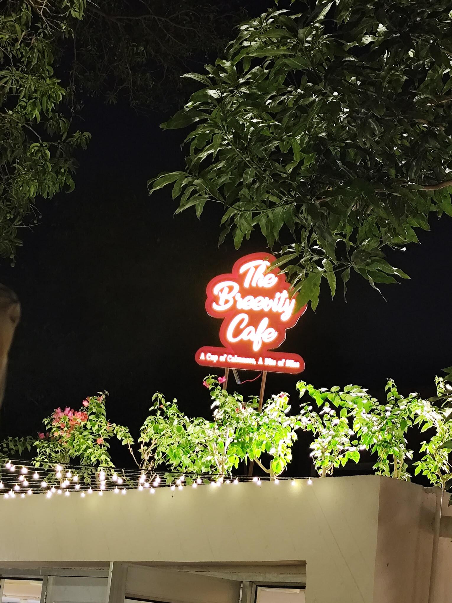 The Breevity Cafe Chandigarh The Breevity Cafe Chandigarh